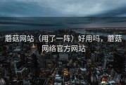 蘑菇网站（用了一阵）好用吗，蘑菇网络官方网站