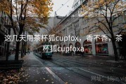 这几天用茶杯狐cupfox，香不香，茶杯狐cupfoxa
