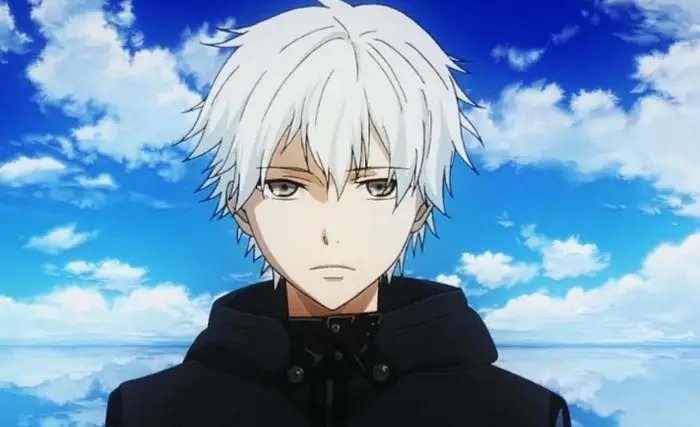 风车动漫网站官网｜作品详情页模板｜简介标签集数更新时间