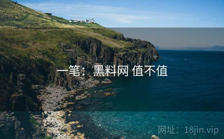 一笔:黑料网 值不值 一笔:黑料网 值不值