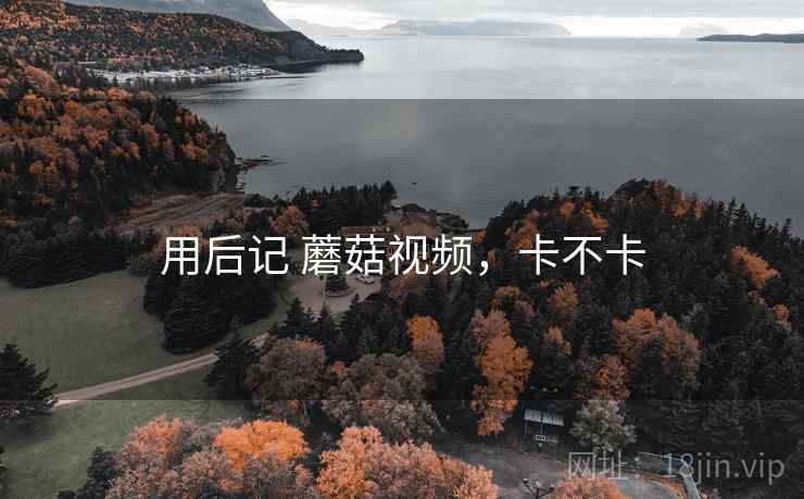 用后记 蘑菇视频,卡不卡 用后记 蘑菇视频,卡不卡