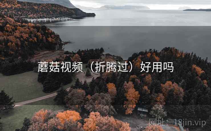 蘑菇视频（折腾过）好用吗